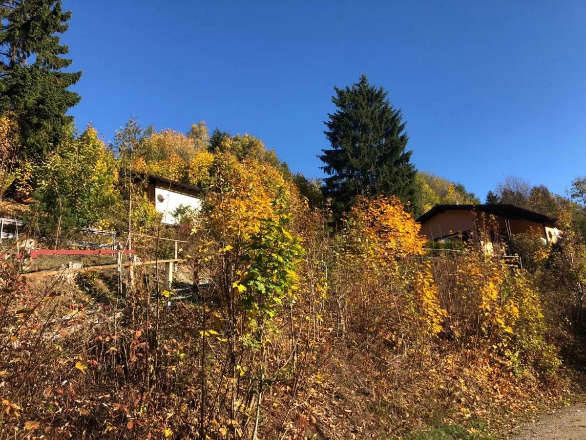 Schoene Aussicht 상트안드레스베르크 외부 사진