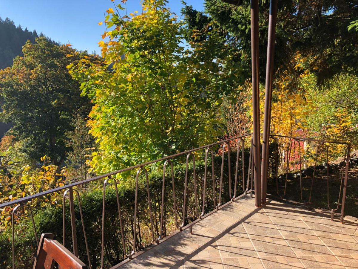Schoene Aussicht 상트안드레스베르크 외부 사진